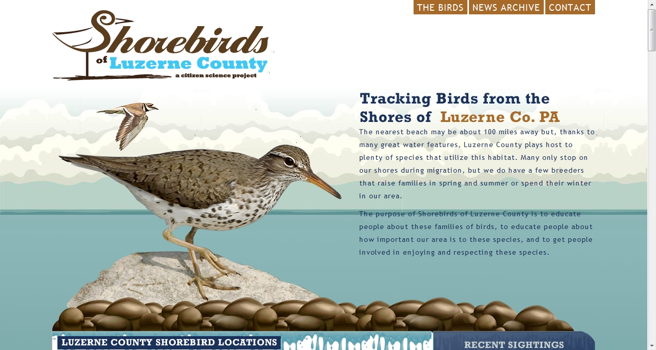 shorebirds.nepabirdproject.org