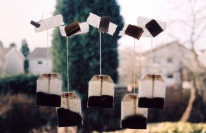 Tea Bags by the Window - Original Source Unknown