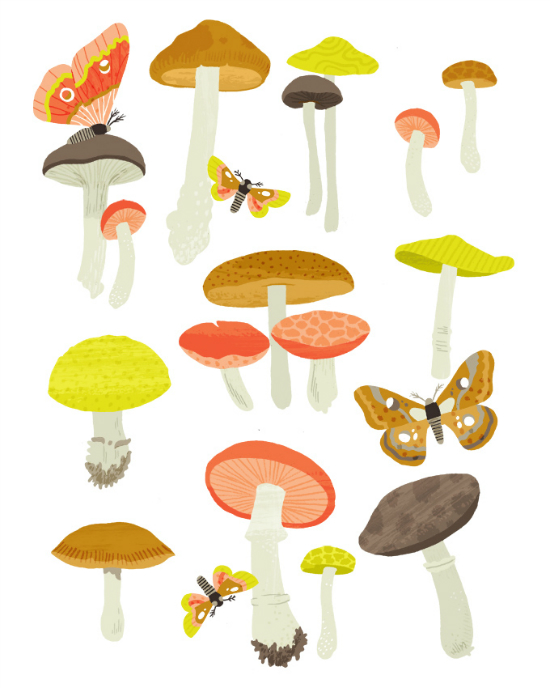 Mushrooms - Scientific Charts by Alyssa Nassnar