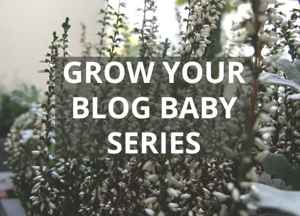 Grow Your Blog Baby - 13 Awesome Tips - Diaries of an Essex Girl