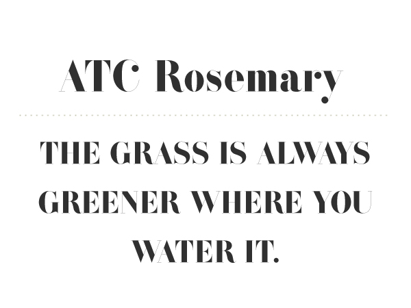ATC Rosemary