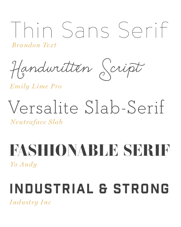 Premium Typefaces