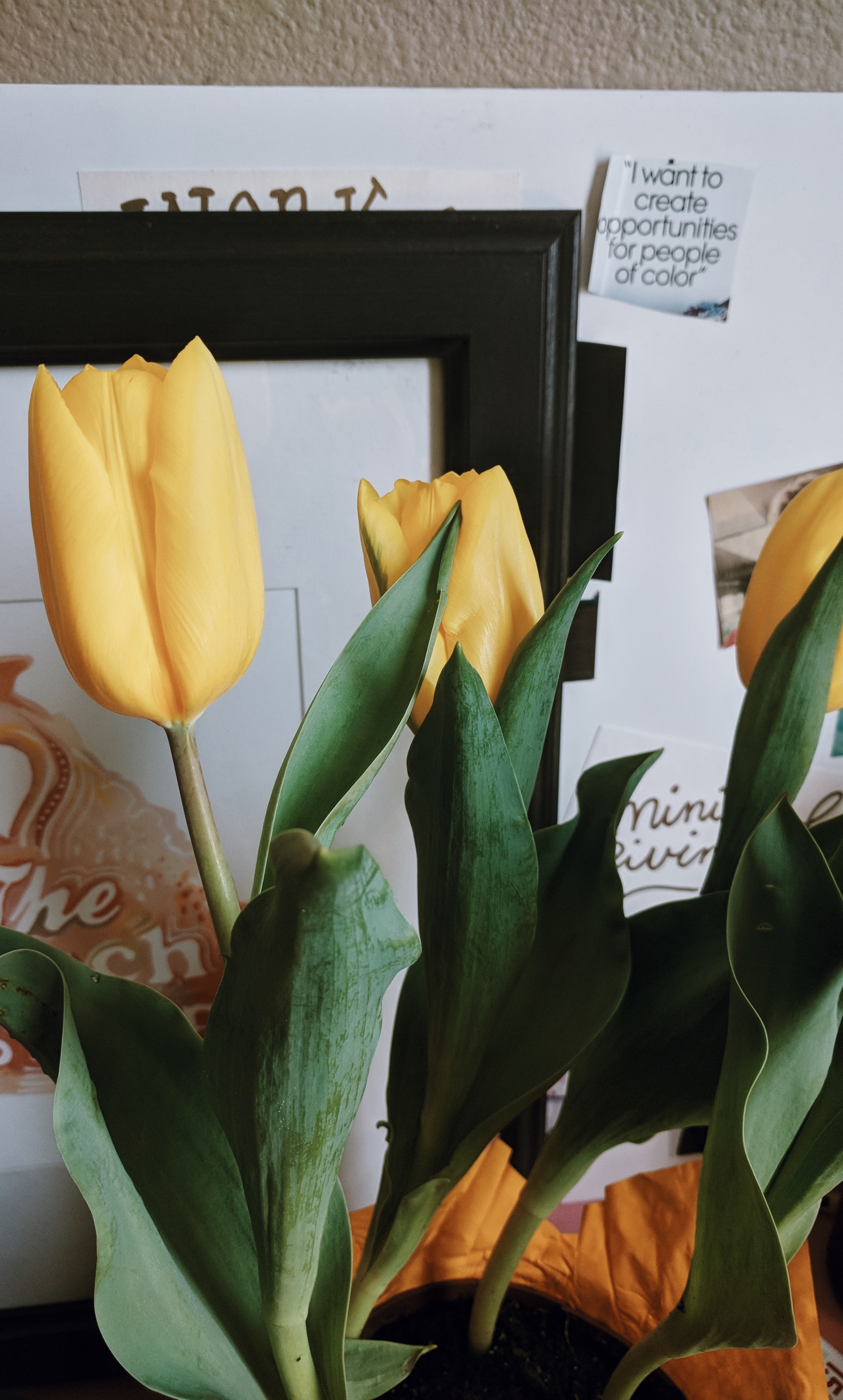 Yellow Tulips, Watercolor Painting of Georgia, and Moodboard
