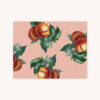 Notecard featuring peach botanical illustration pattern with coral color background