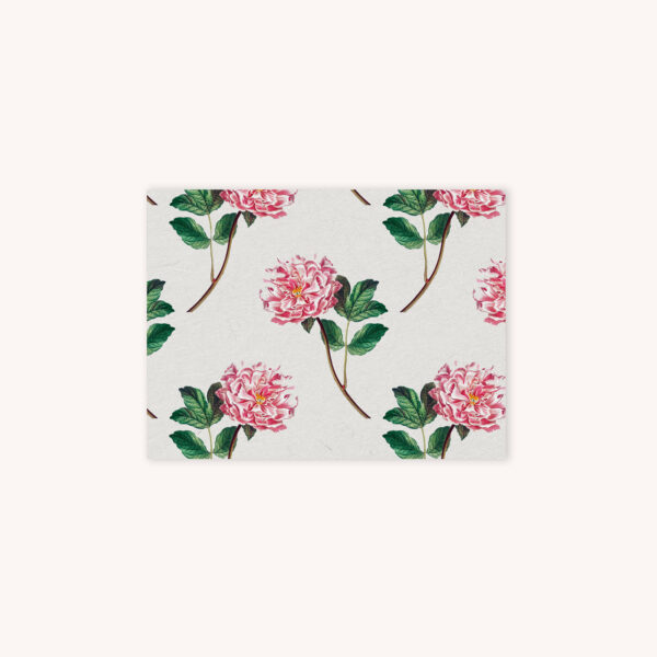 Pink peony bloom illustration pattern card on white background