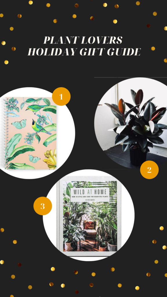 Plant Lovers Holiday Gift Guide. This image has three circles. The first circle has a pink spiral notebook with green watercolor plants painted on it. The second image is a rubber plant in a black planter on black floors with white walls. The third image is the book cover for Wild At Home which showcases an interior shot of various house plants and a brown leather chair.